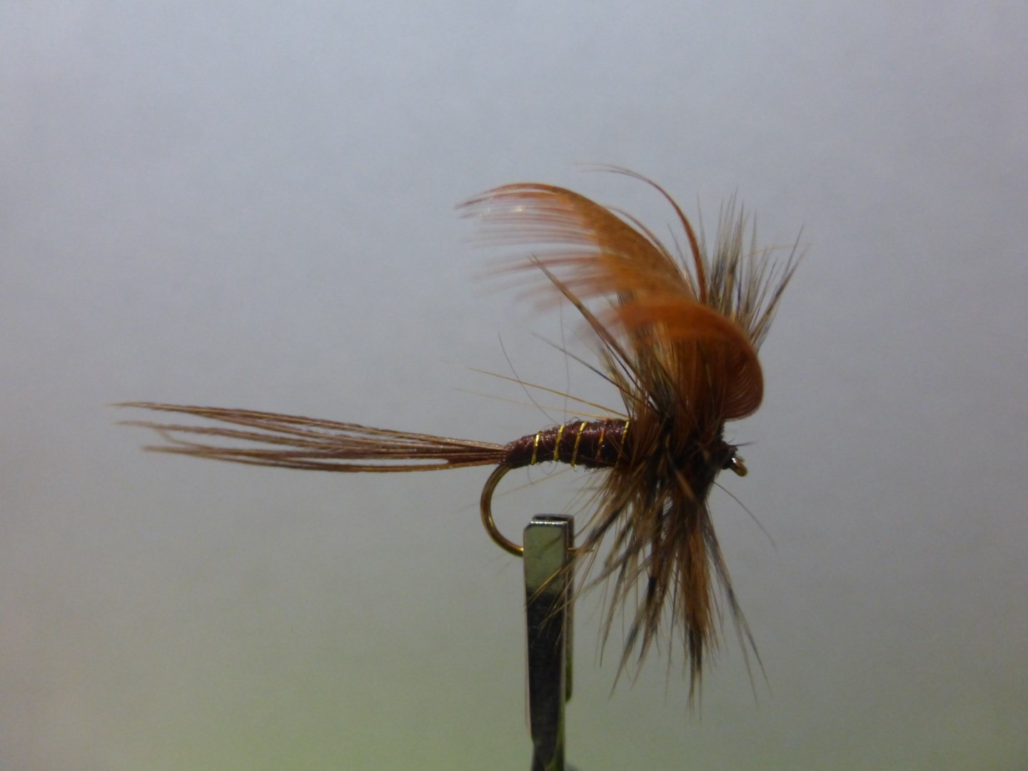 Size 10 Mayfly Brown